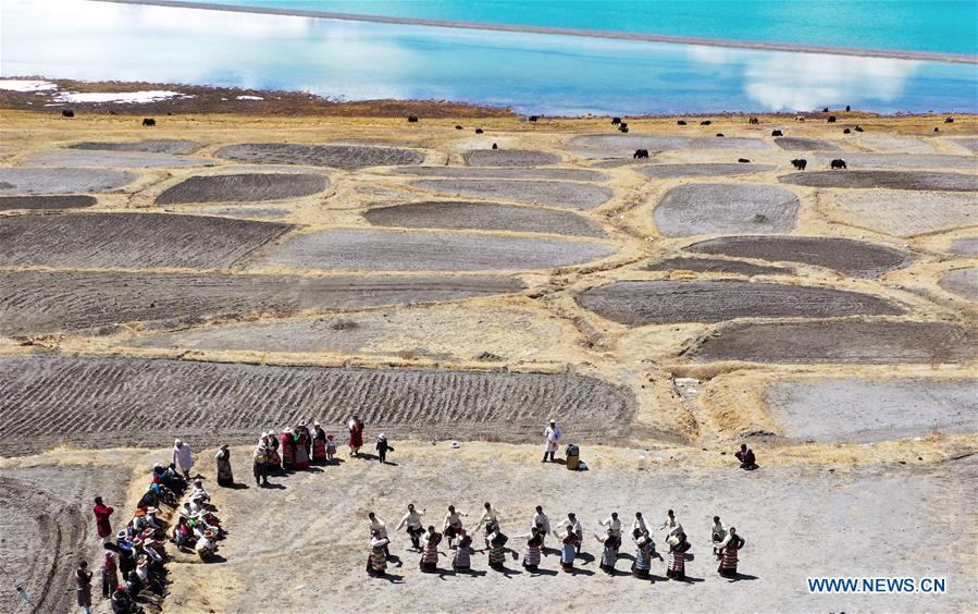 CHINA-TIBET-SPRING PLOUGHING (CN)