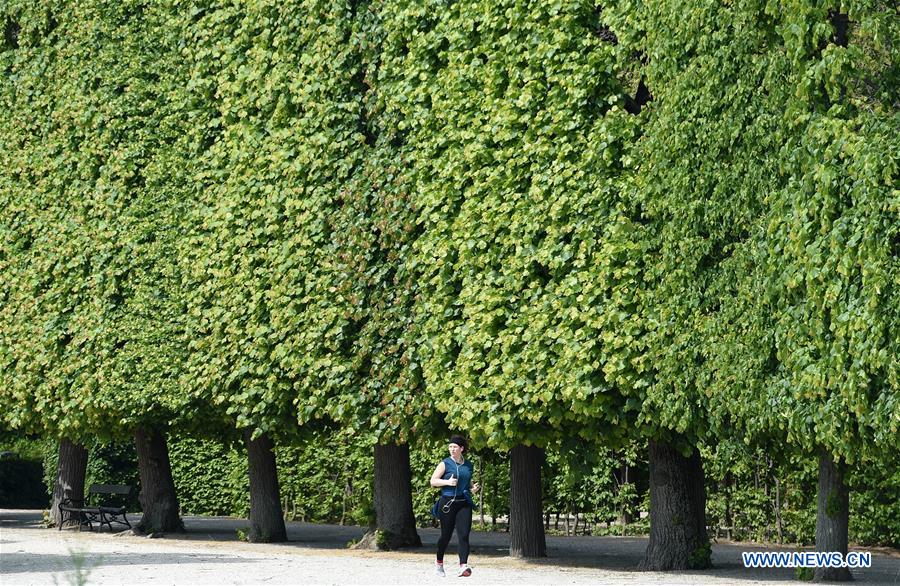 Vienna's Schonbrunn Palace reopens after COVID19 restrictions ease