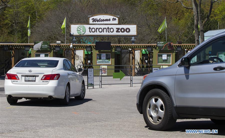  CANADA-TORONTO-COVID-19-ZOO-REOPENING-DRIVE-THRU EXPERIENCE