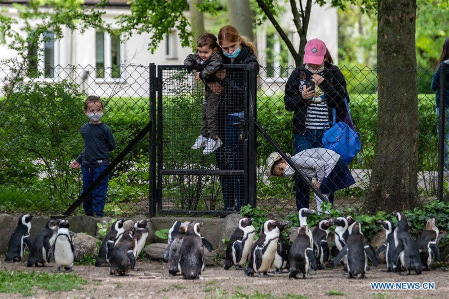 People visit Warsaw Zoo park amid COVID19 outbreak in Poland Xinhua