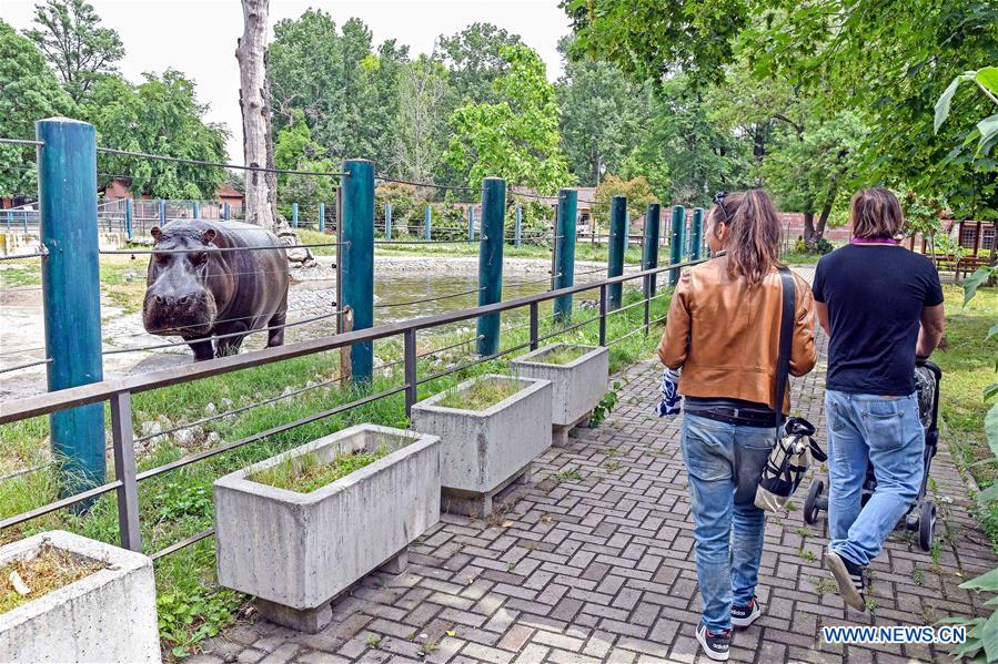 Skopje Zoo reopens to public Xinhua English.news.cn