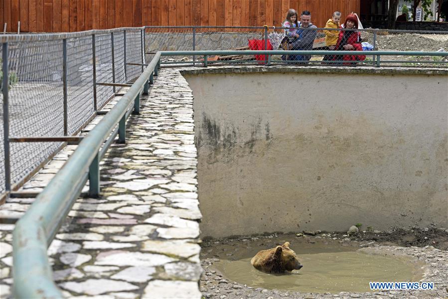 Skopje Zoo reopens to public Xinhua English.news.cn