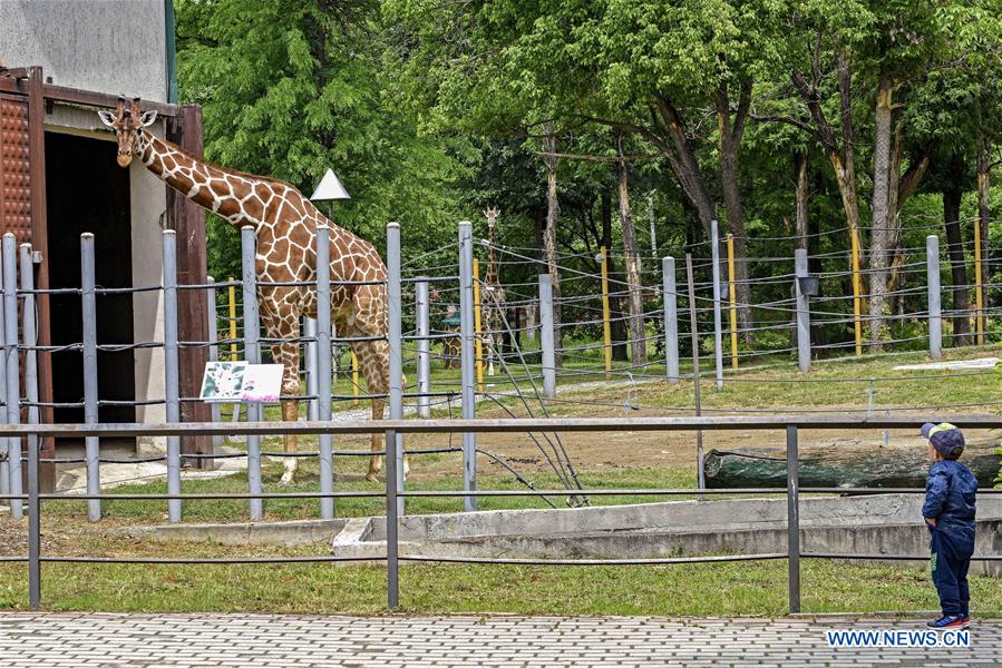 Skopje Zoo reopens to public Xinhua English.news.cn