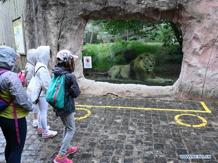 Bioparco zoo in Rome reopens with strict measures taken to curb spread