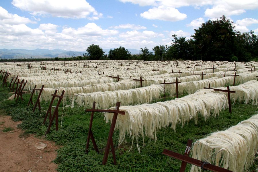 Tanzania plans to increase annual sisal production to 120,000 tonnes by