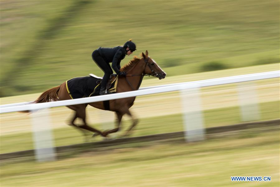 (SP)BRITAIN-KINGSCLERE-COVID-19-HORSE RACING-TRAINING