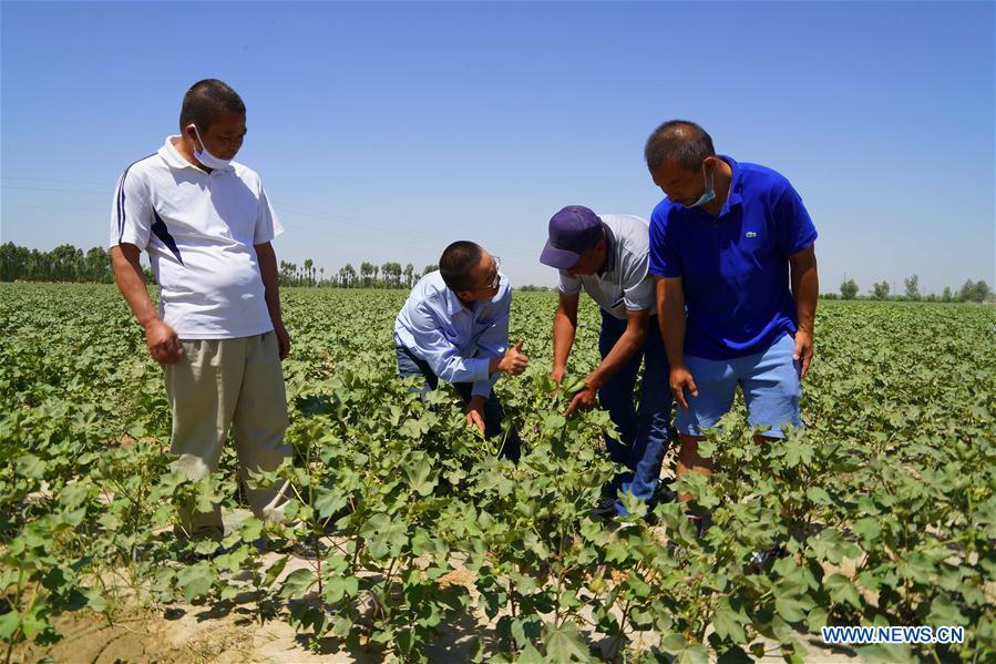 UZBEKISTAN-TASHKENT-FARMING-CHINA-WATER-SAVING TECHNOLOGY