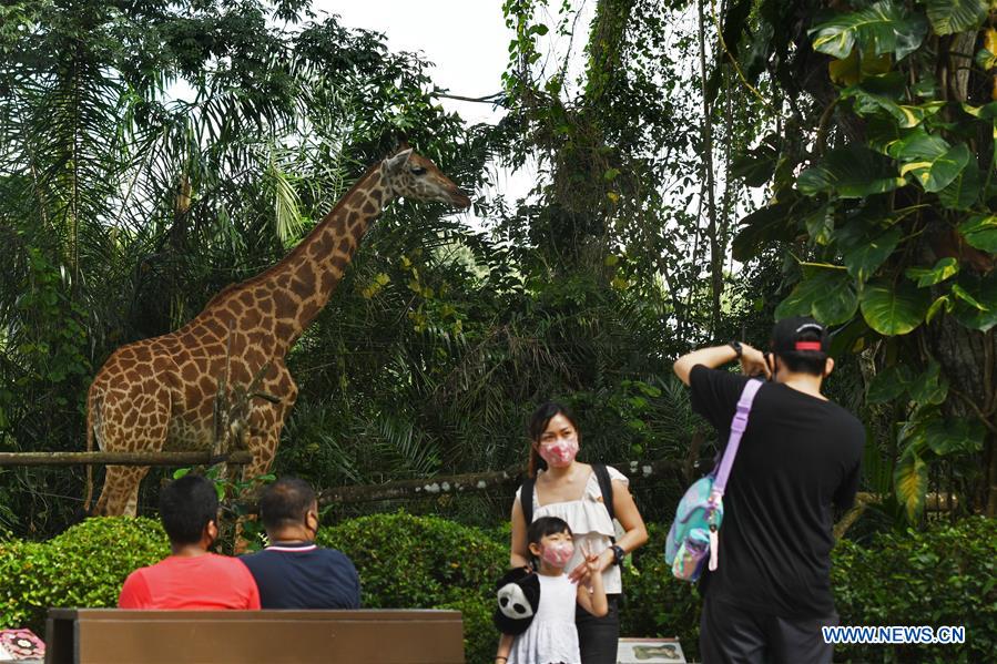SINGAPORE-COVID-19-ZOO-REOPENING
