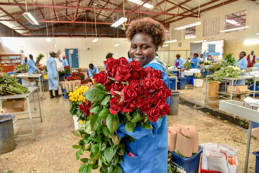 Kenya's flower exports to stabilize amid resumption of international