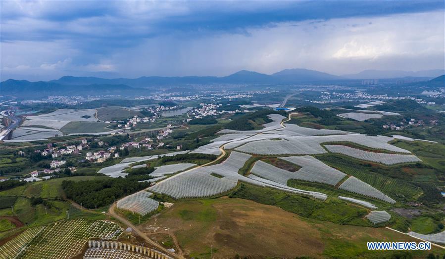 CHINA-YUNNAN-ZHAOTONG-AGRICULTURE-APPLE PLANTING (CN)