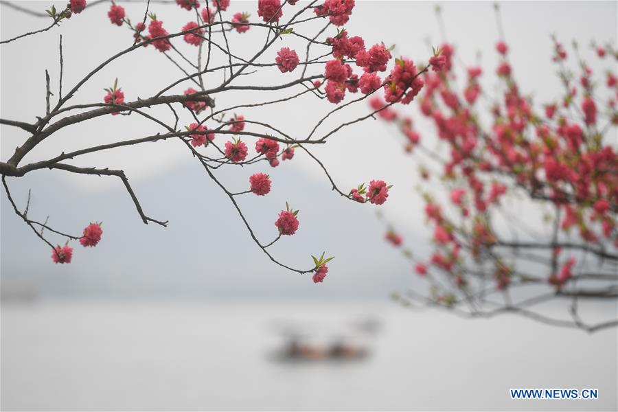 (ZhejiangPictorial) CHINA-ZHEJIANG-HANGZHOU-WEST LAKE-SPRING (CN)