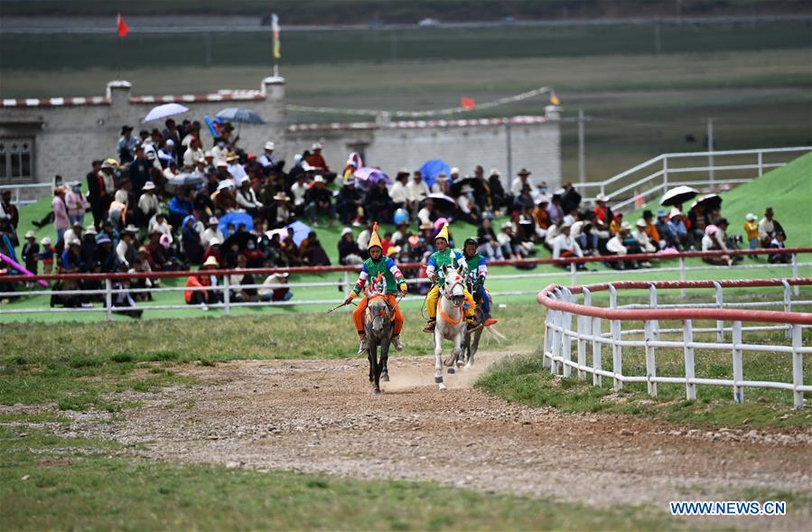(SP)CHINA-DAMXUNG-HORSE RACING (CN)