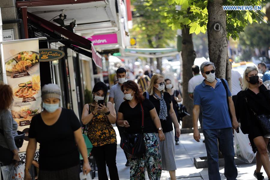 Ankara leads daily COVID19 cases in Turkey minister Xinhua