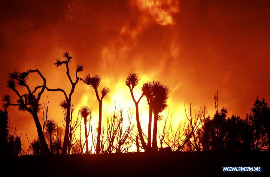 U.S.-LOS ANGELES-BOBCAT FIRE