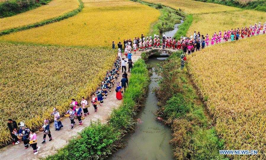 #CHINA-FARMERS' HARVEST FESTIVAL-ACTIVITIES (CN)