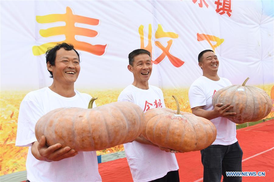 #CHINA-FARMERS' HARVEST FESTIVAL-ACTIVITIES (CN)