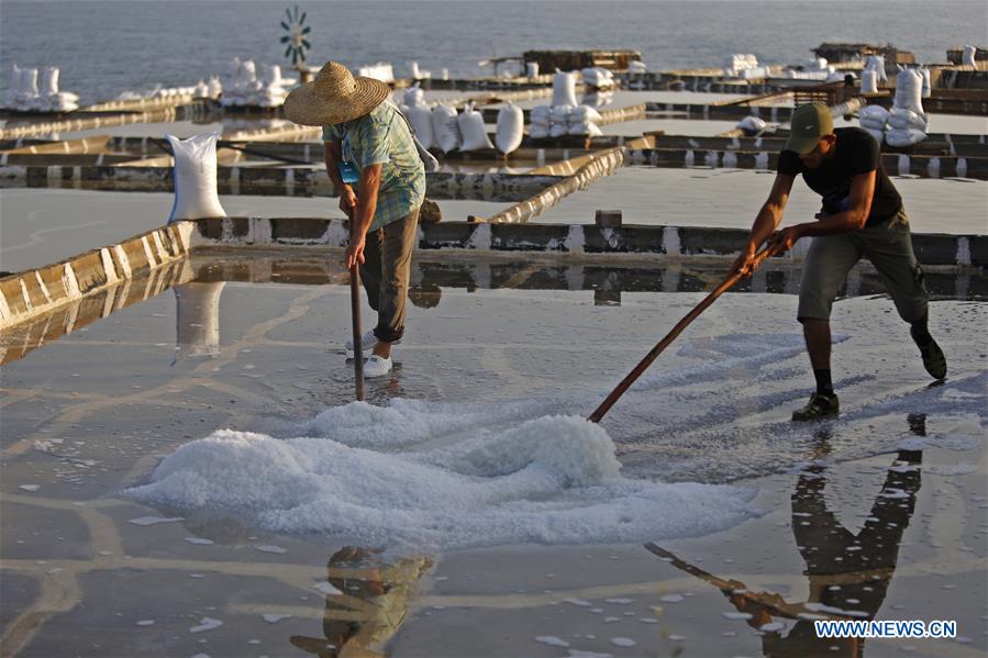 Workers work at salt evaporation ponds in north of Lebanon's capital Beirut Xinhua English