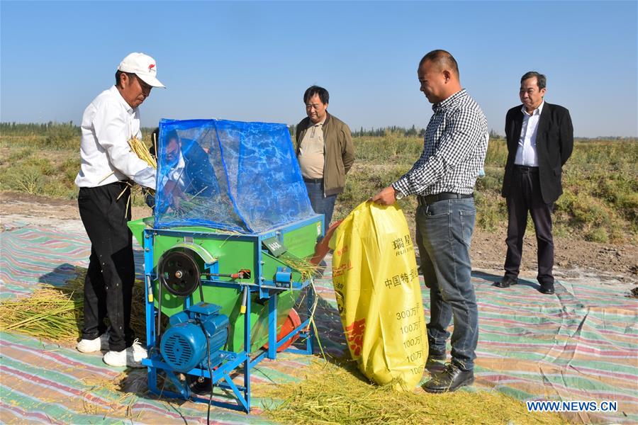 CHINA-XINJIANG-SALINE SOIL RICE-YIELD MONITORING (CN)
