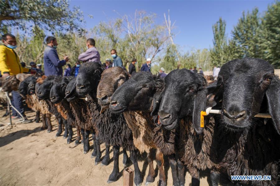 CHINA-XINJIANG-SHUFU-CATTLE-SHEEP-BAZAAR (CN)