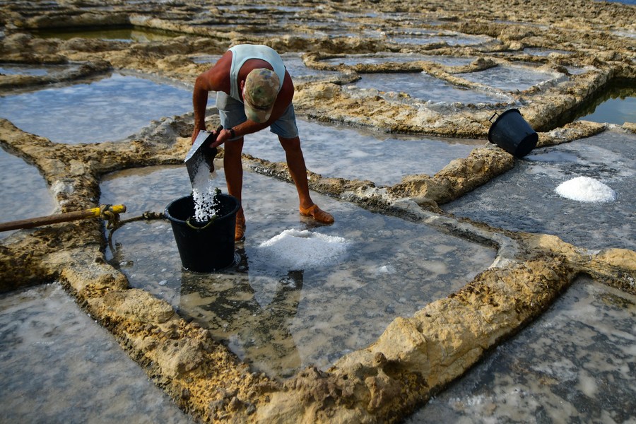 Feature Malta preserves sea salt harvesting tradition Xinhua