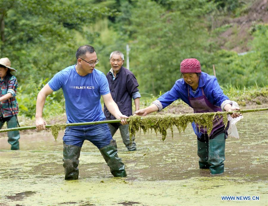 (POVERTY RELIEF ALBUM)CHINA-CHONGQING-RURAL REFORM-CHANGES (CN)