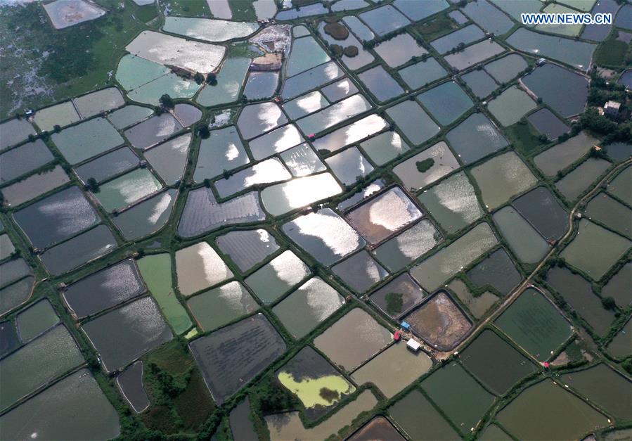 CHINA-GUANGXI-SHRIMP PONDS-SCENERY