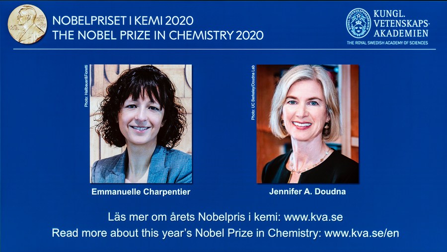 2 scientists awarded Nobel chemistry prize for discovery of