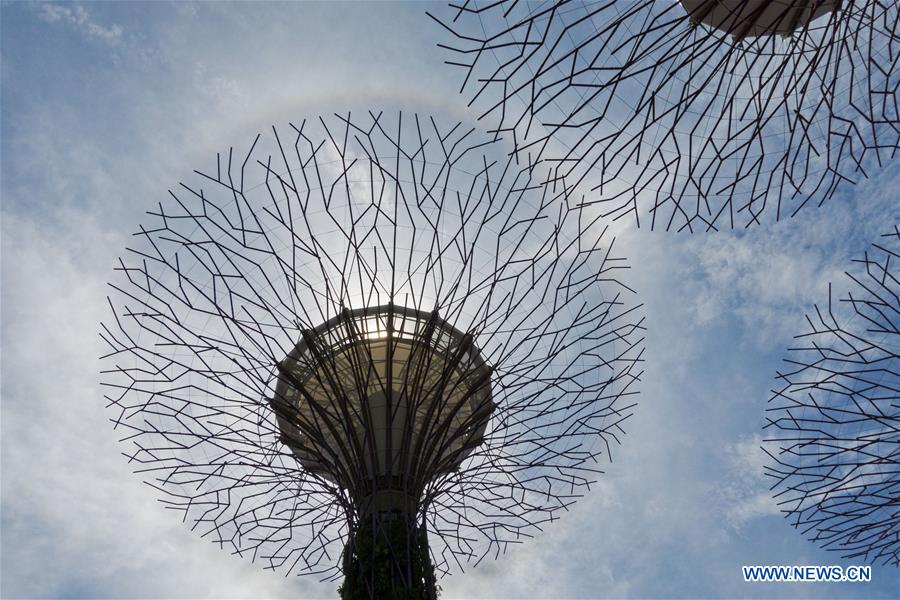 SINGAPORE-SUN HALO-VIEW