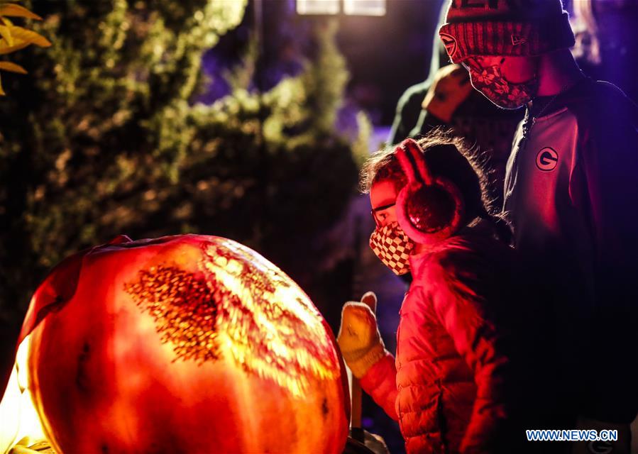 Highlights of Chicago Botanic Garden's Night of 1000 JackO'Lanterns