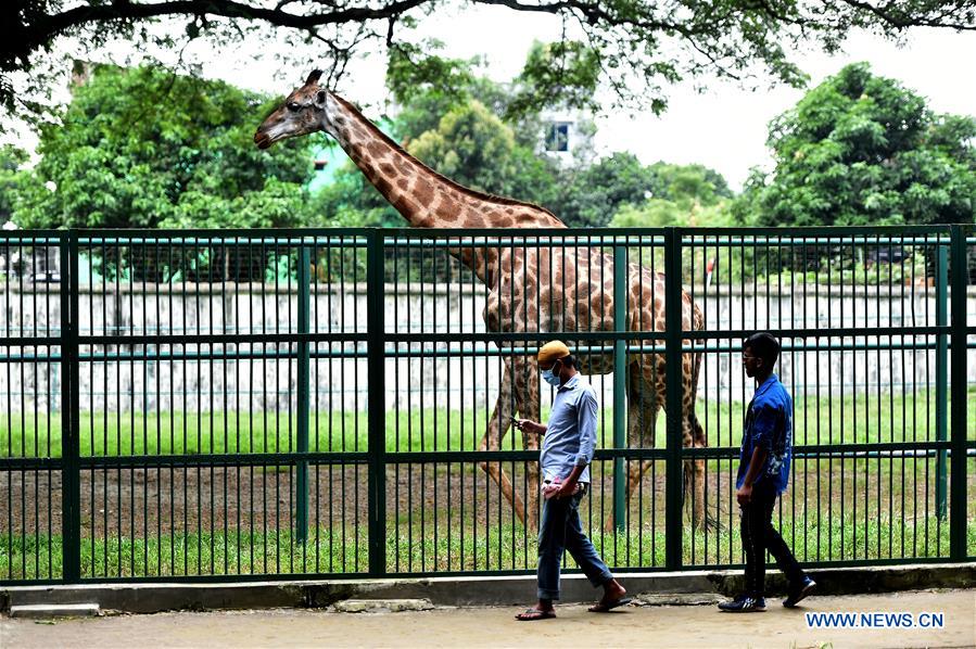 Bangladesh National Zoo in Mirpur section of Dhaka reopens to public