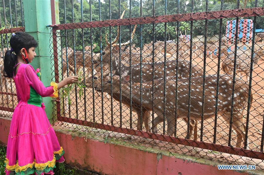 Bangladesh National Zoo in Mirpur section of Dhaka reopens to public