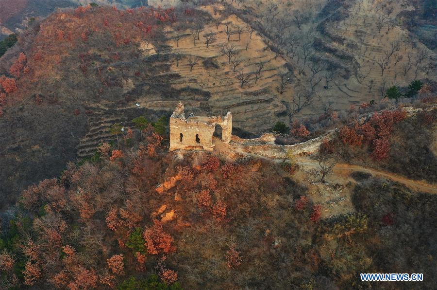 CHINA-HEBEI-GREAT WALL-AUTUMN SCENERY (CN)