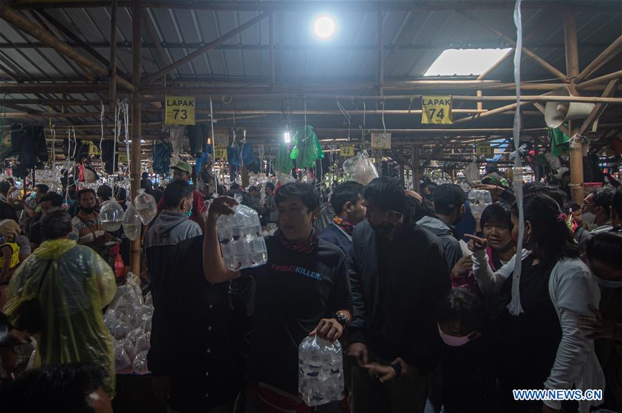 بازار ماهیان زینتی در اندونزی