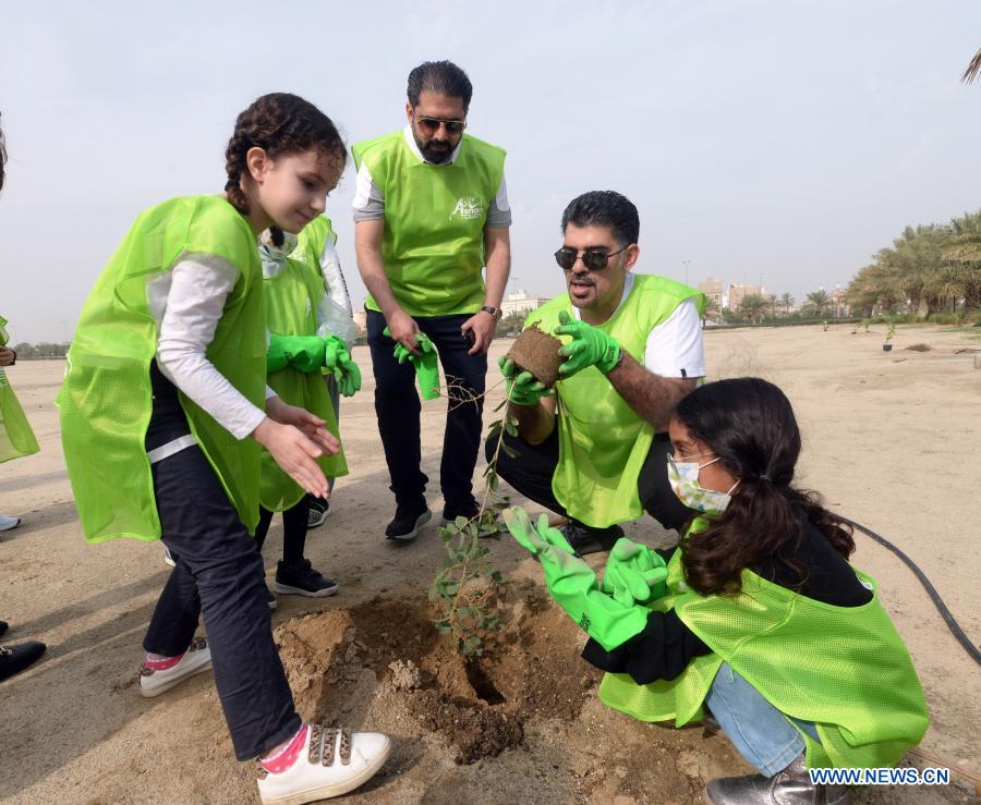 Volunteers plant trees during treeplanting campaign in Kuwait Xinhua