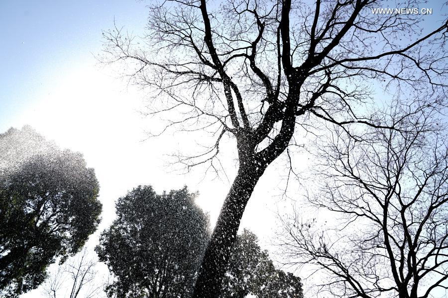 China marks solar term Winter Solstice - Xinhua | English.news.cn