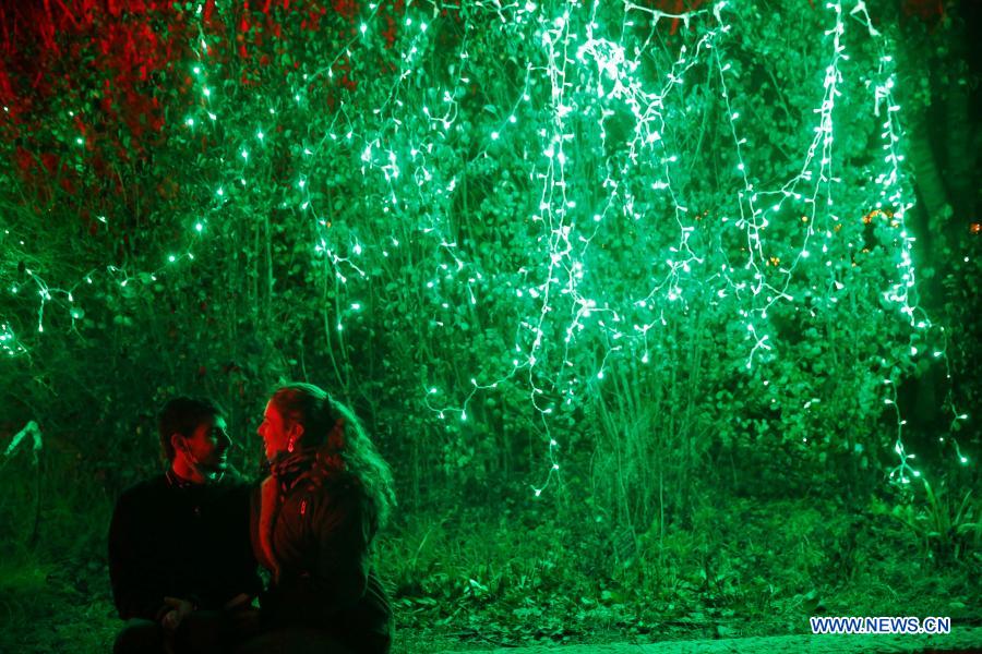People visit "Winter Lights Festival" at Botanical Gardens during