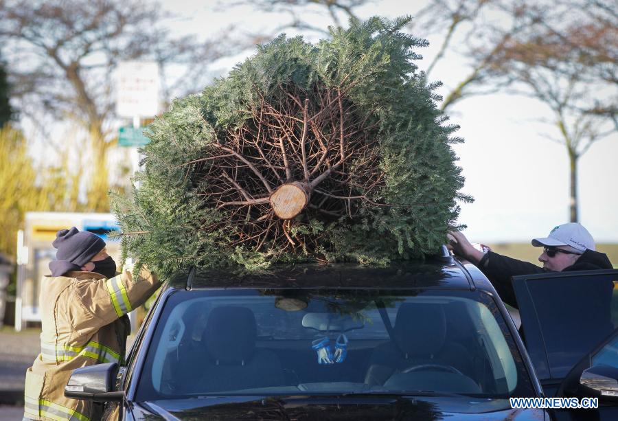 Firefighters volunteer to help residents recycle Christmas trees at