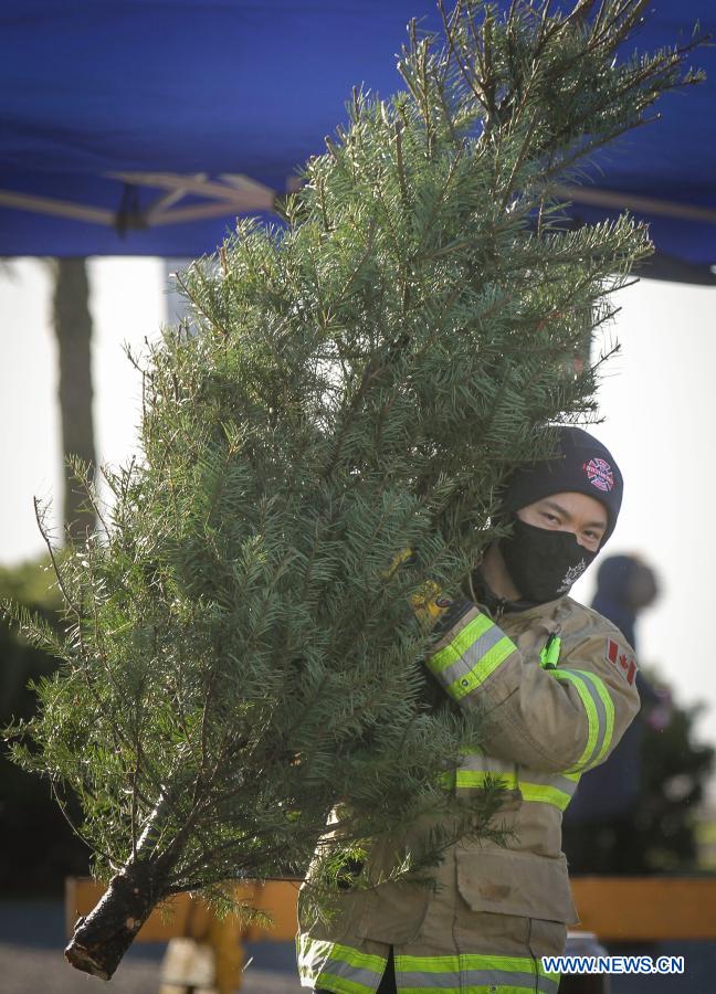 Firefighters volunteer to help residents recycle Christmas trees at