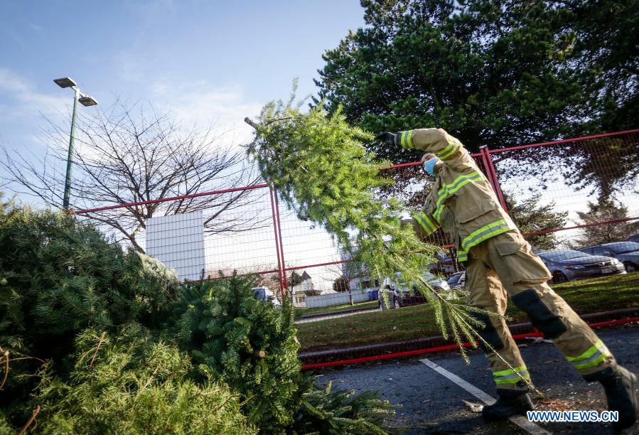 Firefighters volunteer to help residents recycle Christmas trees at