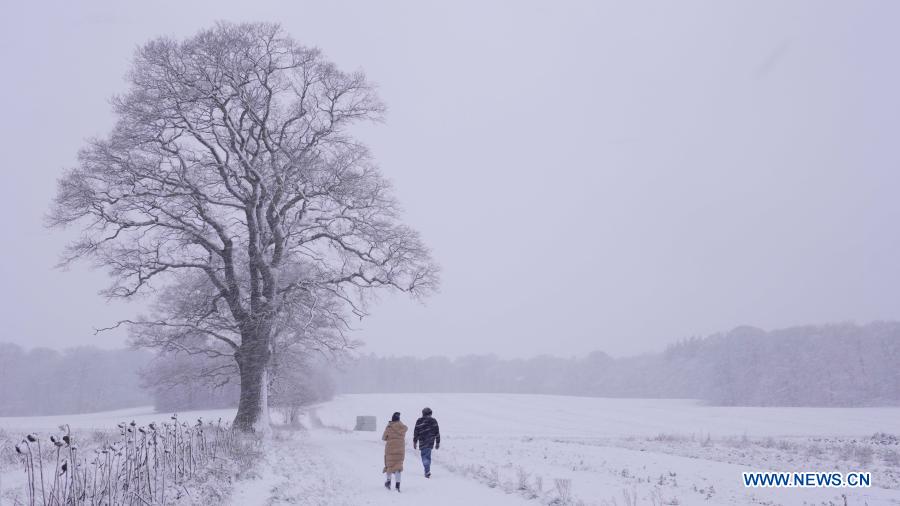 Denmark sees first snow of 2021 Xinhua English.news.cn