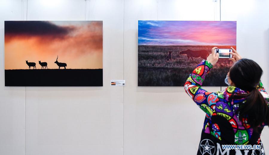 Wildlife photography exhibition kicks off at Jinlin Province Library -  Xinhua 