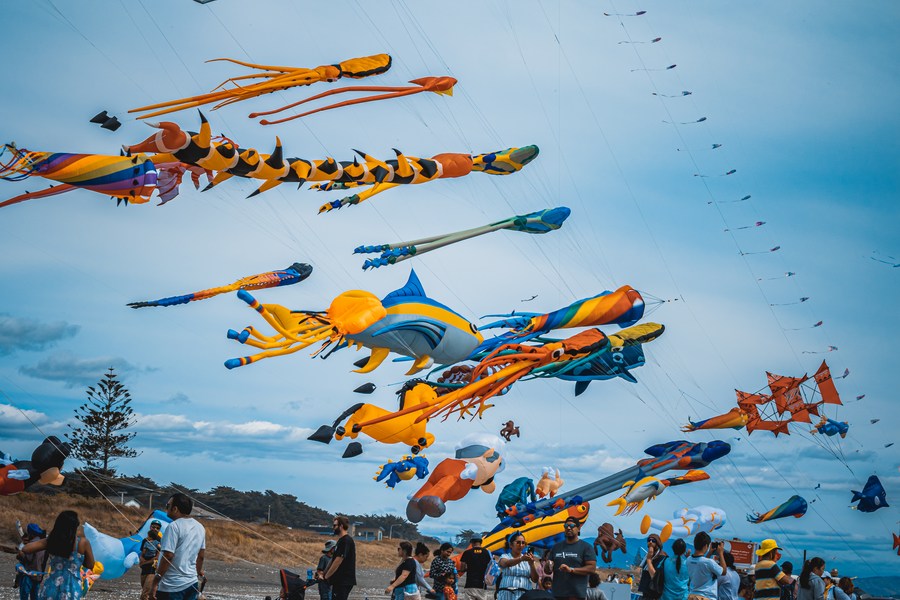 Chinese kites adorn New Zealand's kite festival Xinhua English.news.cn