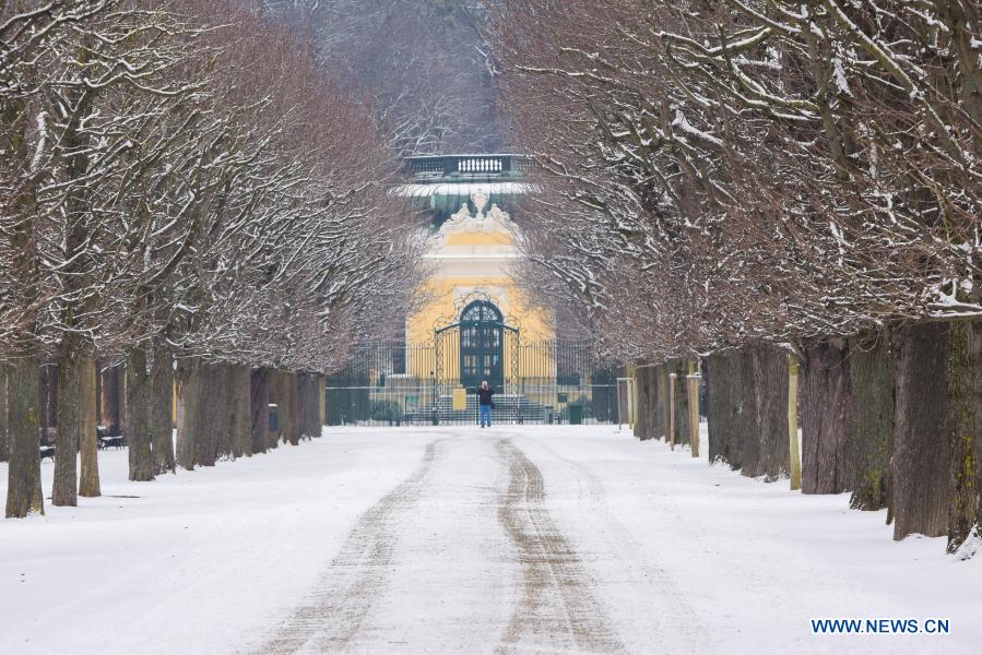 Snow scenery in Vienna, Austria Xinhua English.news.cn