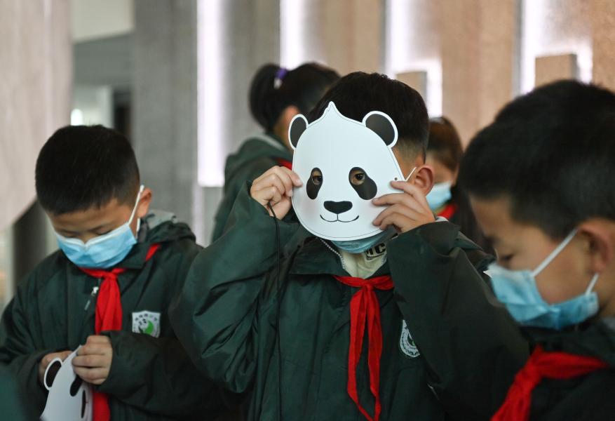 Interactive panda museum opens in China's Chengdu