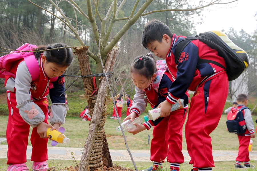 In pics Celebrating the preservation and planting of trees on Tree