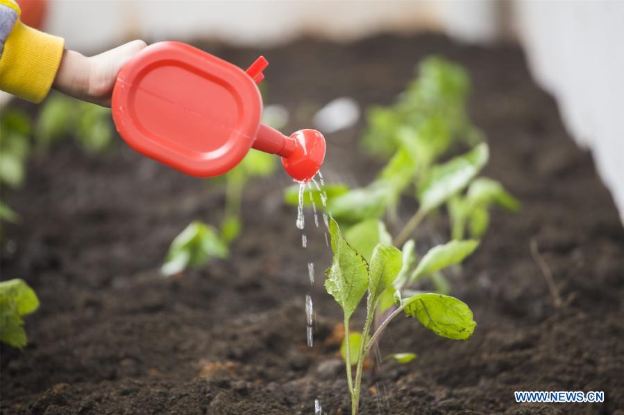 National Tree Planting Day marked in China Xinhua English.news.cn