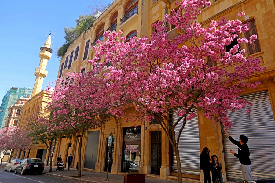 Mideast in Pictures Beirut is beautiful! Xinhua English.news.cn