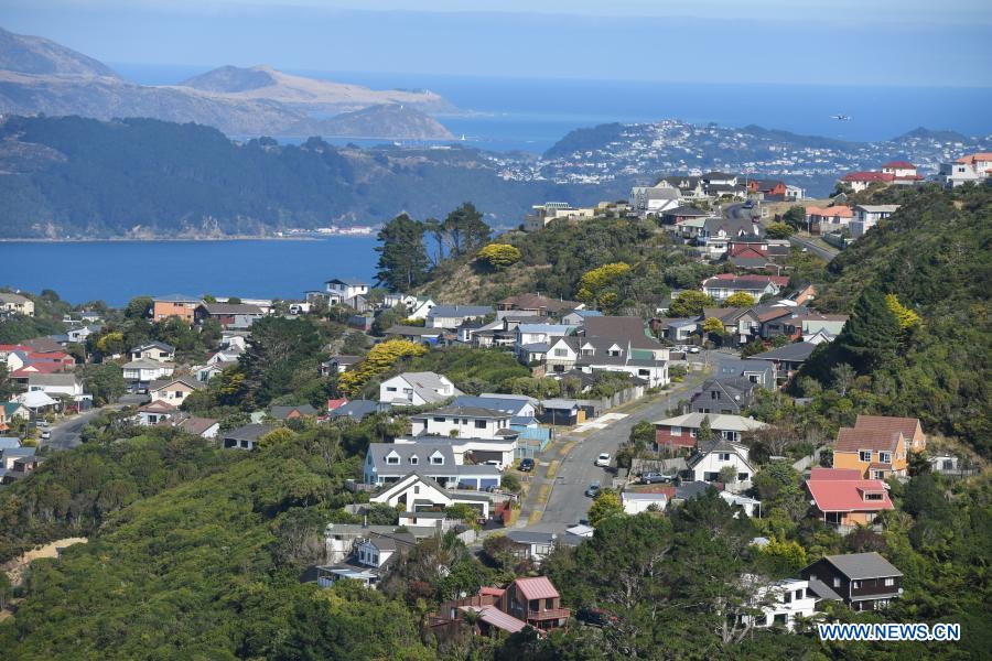 New Zealand reveals package plan to cool down housing market Xinhua