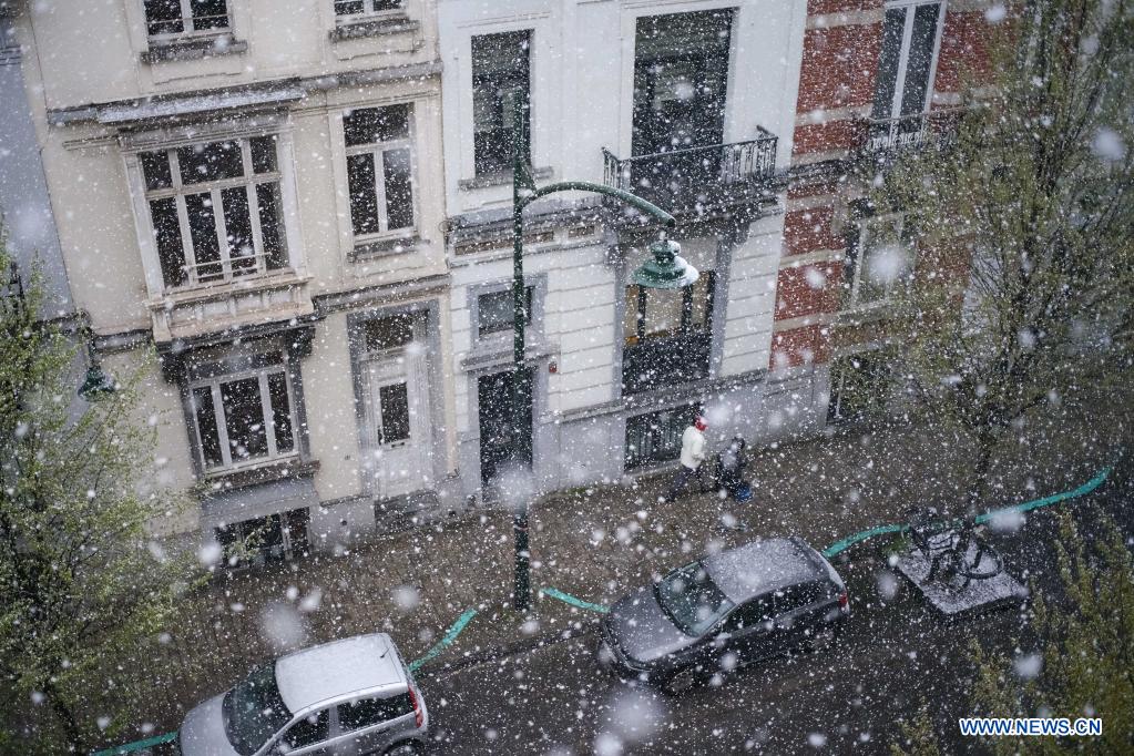 Brussels witnesses intermittent heavy snow Xinhua English.news.cn