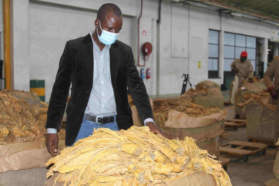 Zimbabwe's 2021 tobacco marketing season commences with high hopes